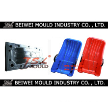 Injection Plastic Skateboard Mould